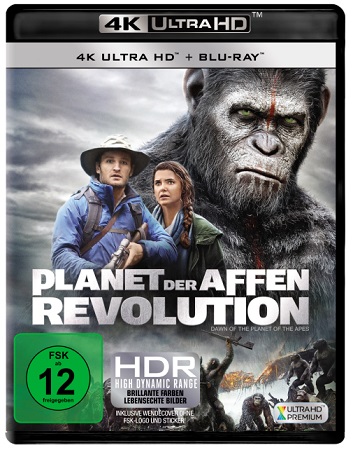 Titelbild