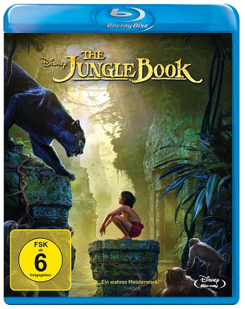 Titelbild