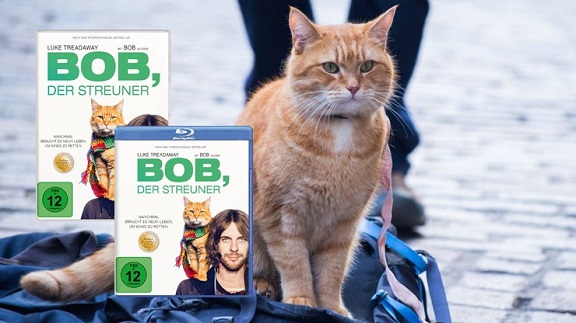 Titelbild